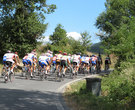 il gruppo