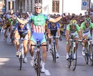 57 MEDAGLIA ORO FIERA DI SOMMACAMPAGNA - Sommacampagna