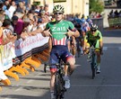 66 MEDAGLIA ORO FIERA DI SOMMACAMPAGNA - SOMMACAMPAGNA