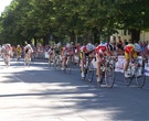 CAMPIONATO REGIONALE ESORDIENTI - CASTELNUOVO DEI SABBIONI 